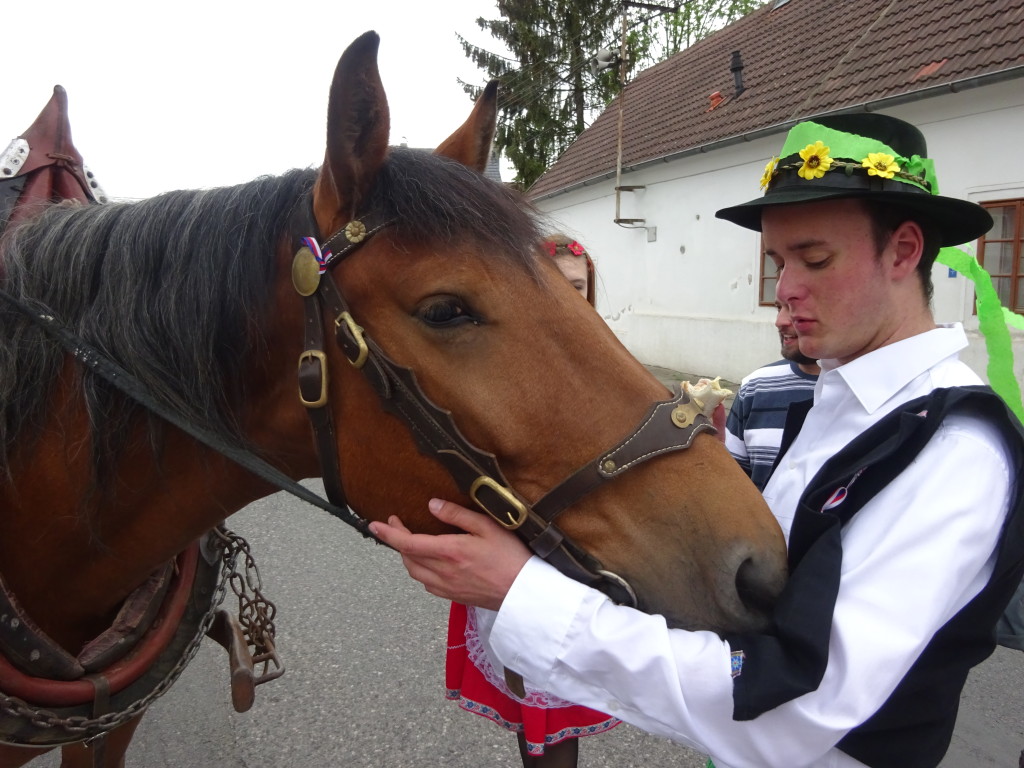 Máje Třebichovice 2017