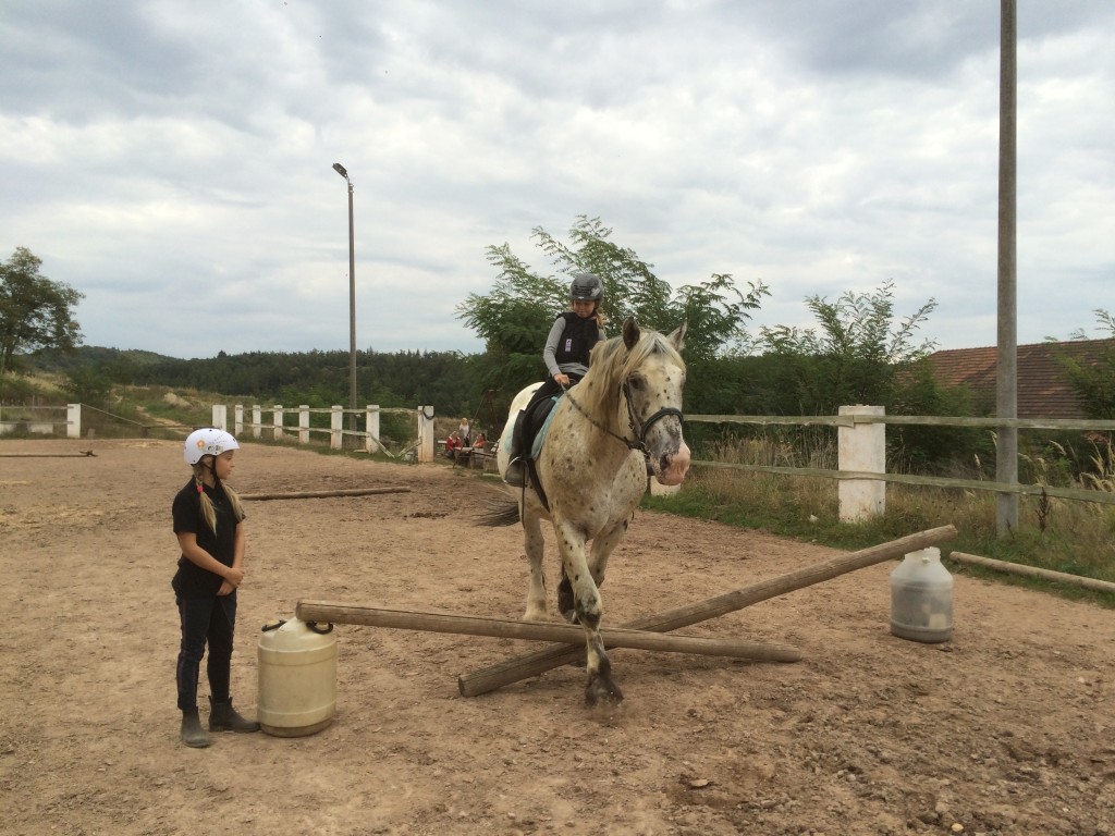 Jezdecký oddíl (2)