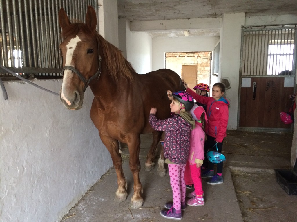 Jezdecký oddíl (5)