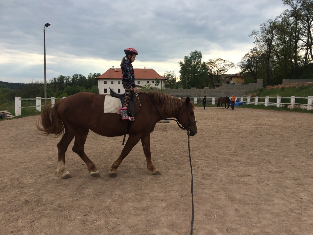 Labyrint kroužky (1)