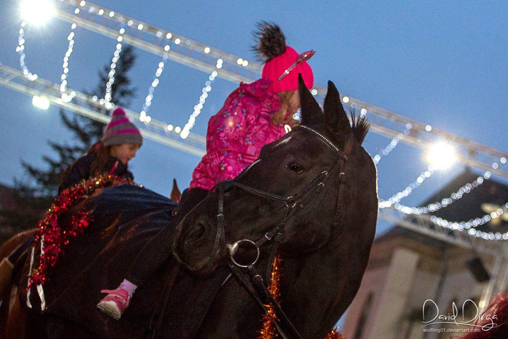 Mikuláš na koni 2015 (3)