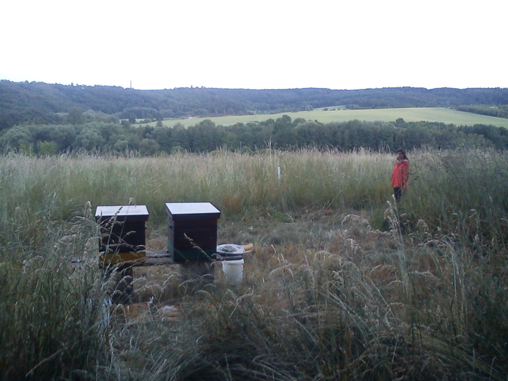 Skromné začátky 2014