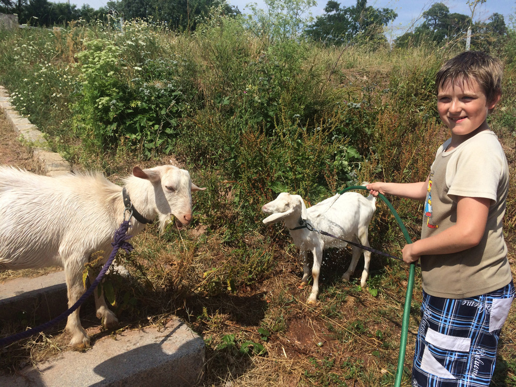 Jezdecký tábor 2015 (4)