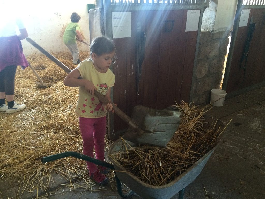 Jezdecký tábor 2015 (6)