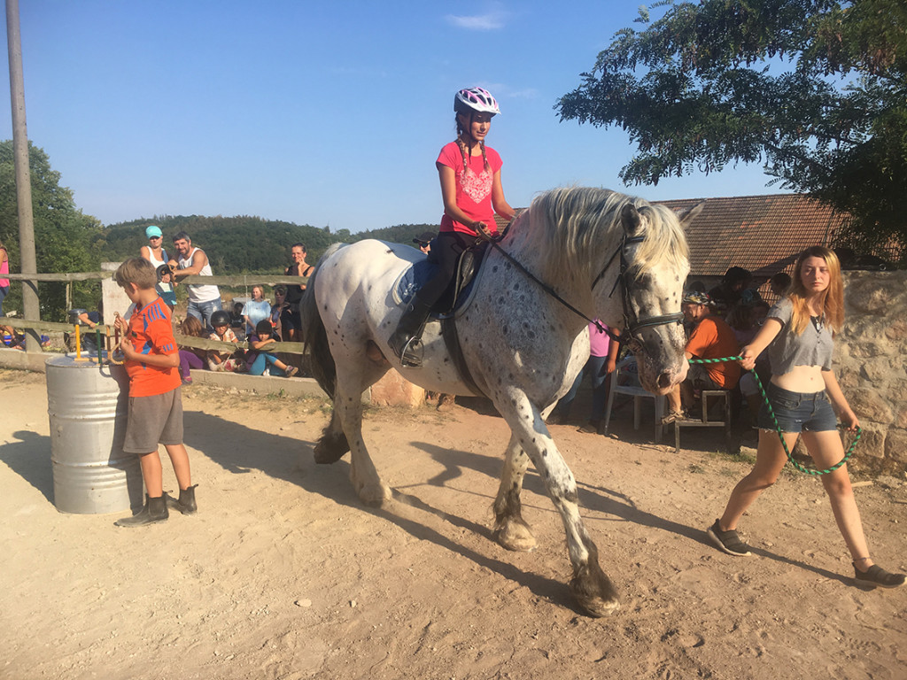 Jezdecký tábor 2018 (20)