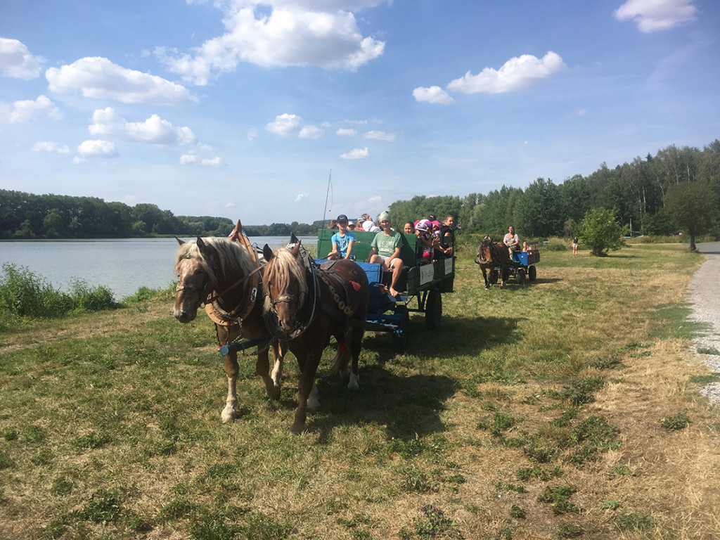 Jezdecký tábor 2018 (22)