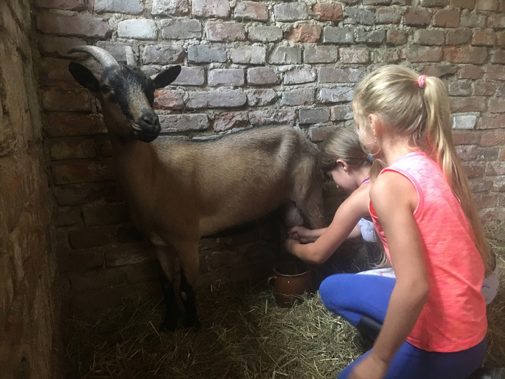 Jezdecký tábor 2018 (42)