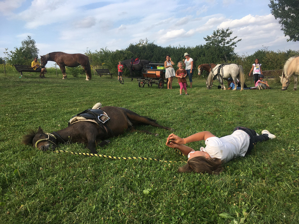 Letní jezdecký tábor 2017 (9)